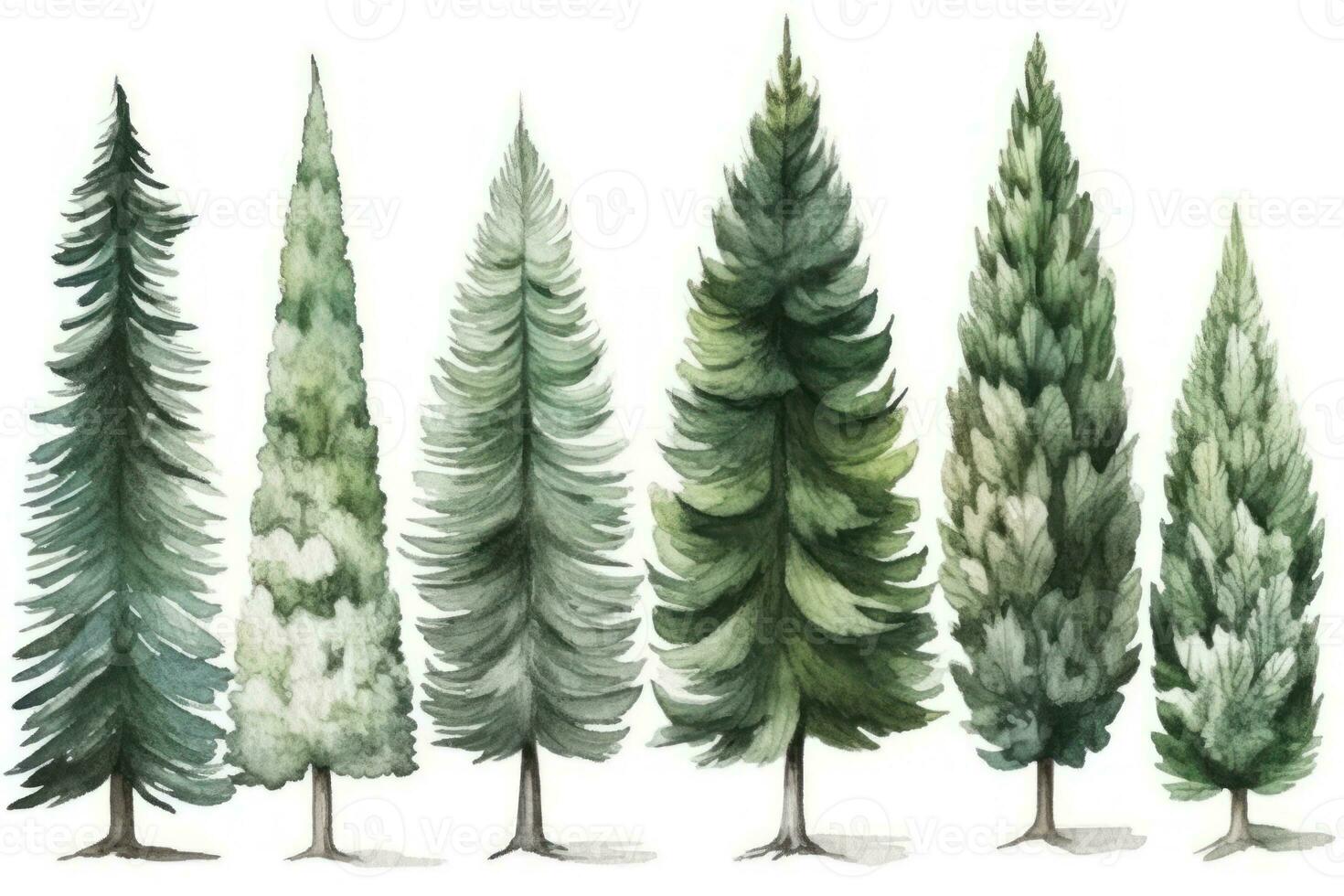 ritad för hand vattenfärg gran träd samling för skog scener generativ ai foto