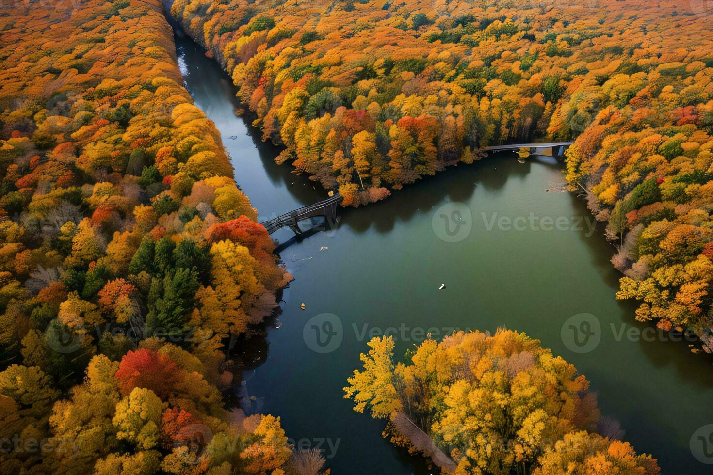 Foto av de höst skog Drönare se