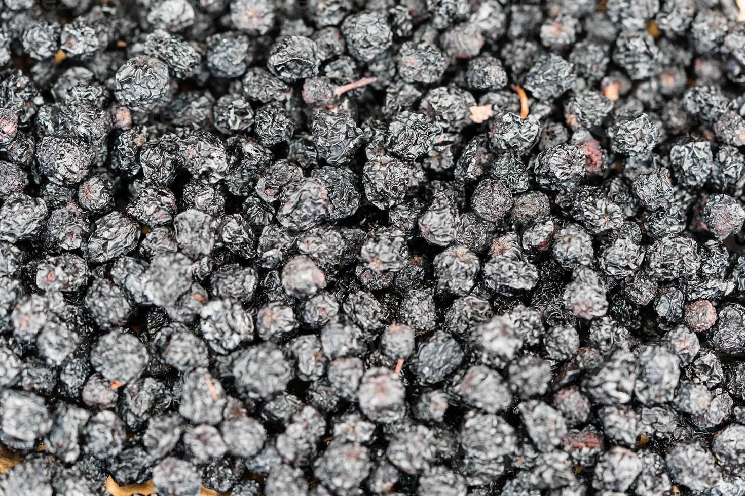 svart rönn aronia chokeberry foto