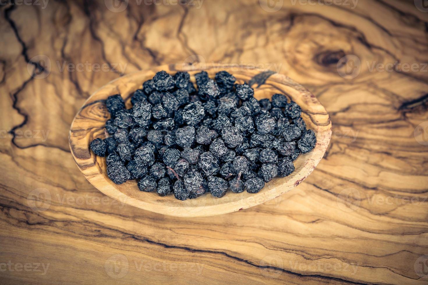 svart rönn aronia chokeberry foto