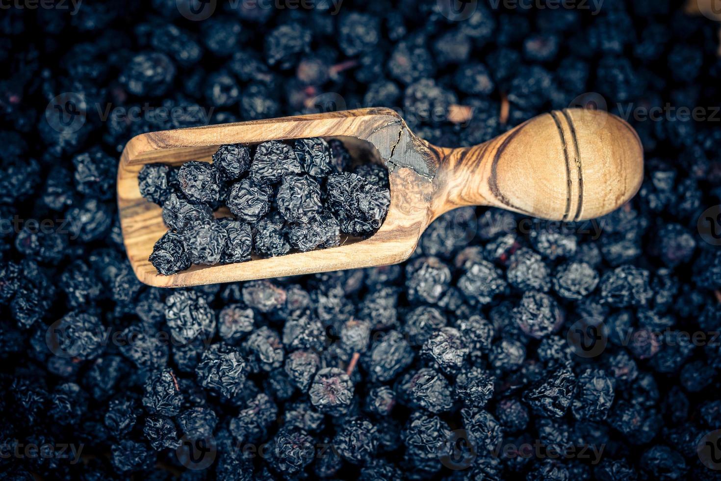 svart rönn aronia chokeberry foto