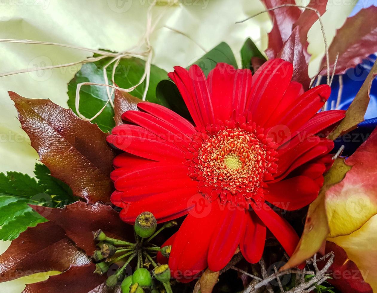 brudbukett med olika blommor foto