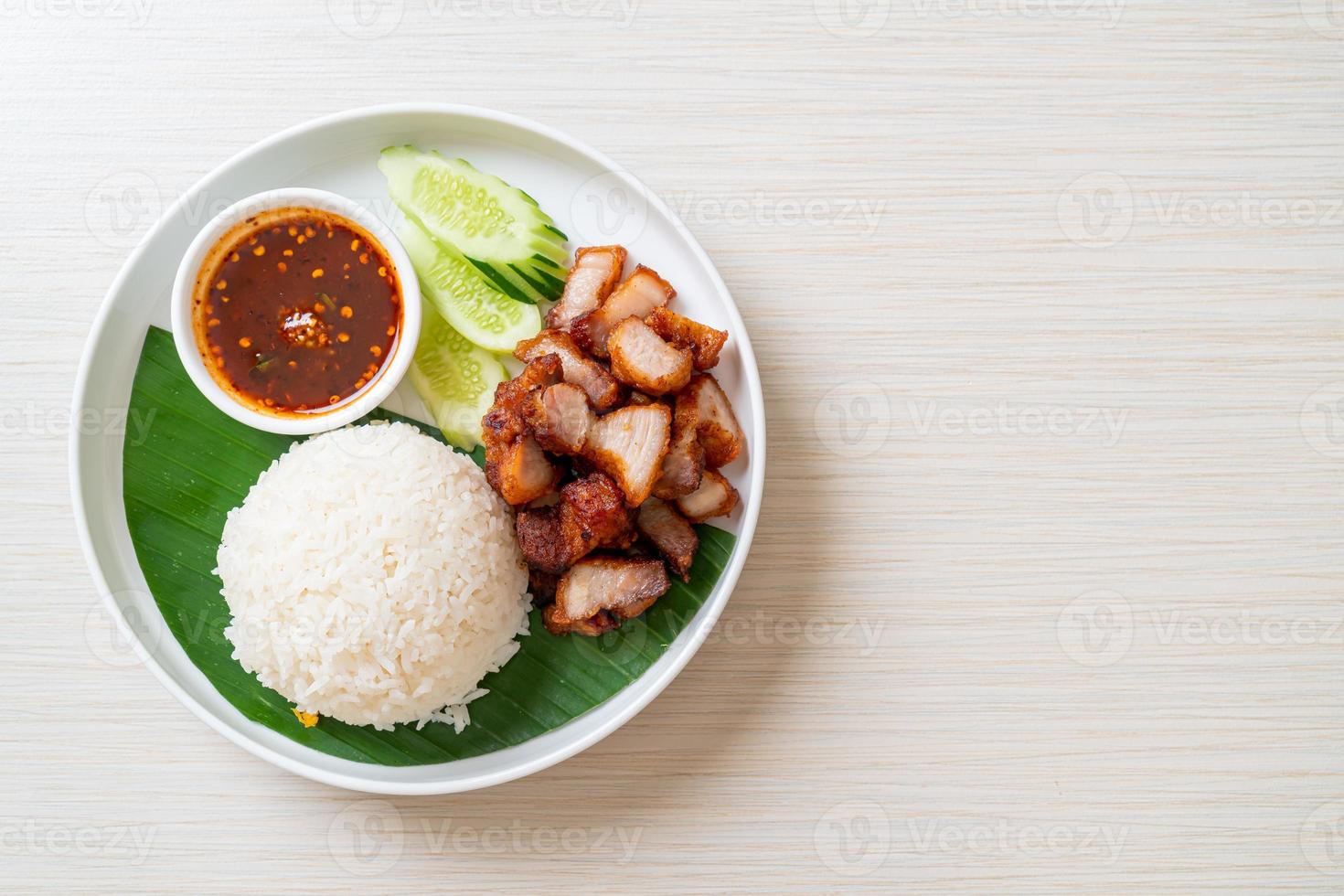 stekt magfläsk med ris med kryddig sås i asiatisk stil foto