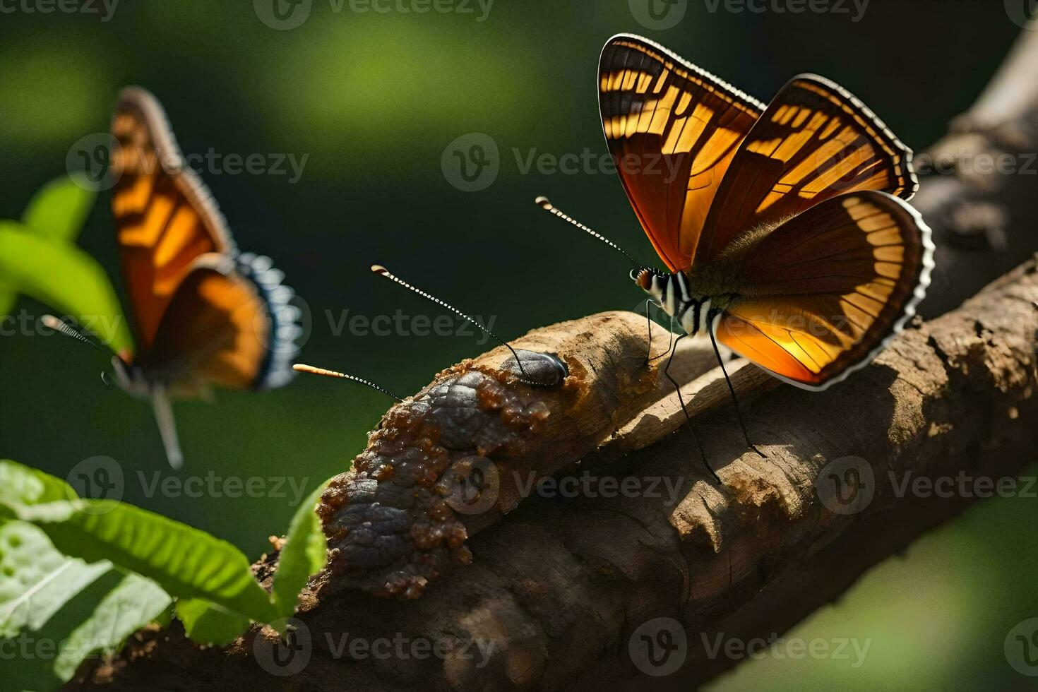 två fjärilar är Sammanträde på en gren. ai-genererad foto