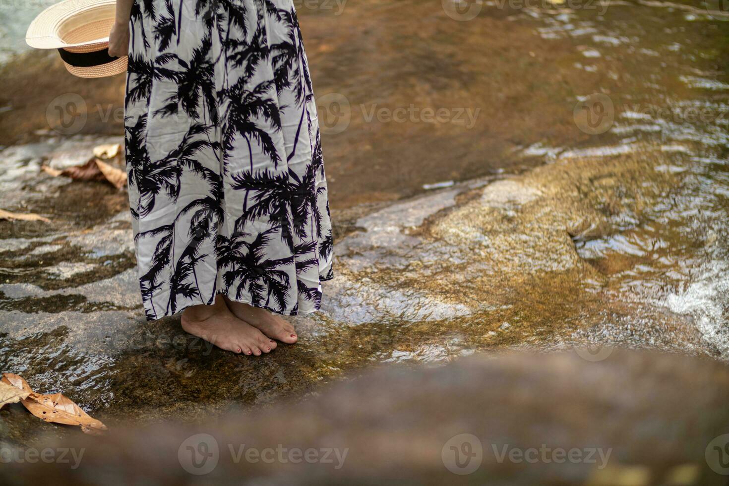 ung kvinnor turist i årgång klänning står ensam på sten förbi vattenfall i de skog hoppas till Häftigt ner för simma. de tillbaka av ung asiatisk kvinnor turist vem åtnjuter spelar i vattenfall ensam. foto