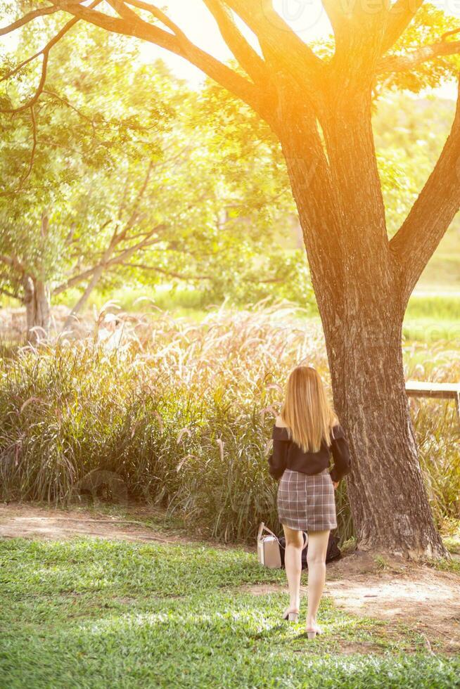 kvinna hon promenader på gräs ensam rubrik mot stor träd på kant av gräsmatta till fly Sol och värme under sommar. ung kvinna gående och vilar på gräs ensam.kopia Plats för text foto