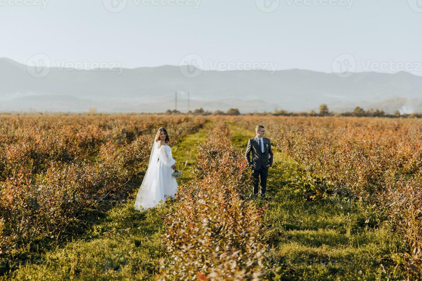 nygifta stå i en fält och se i annorlunda vägbeskrivningar, en bröllop i natur. elegant par. mot de bakgrund av en berg landskap. foto