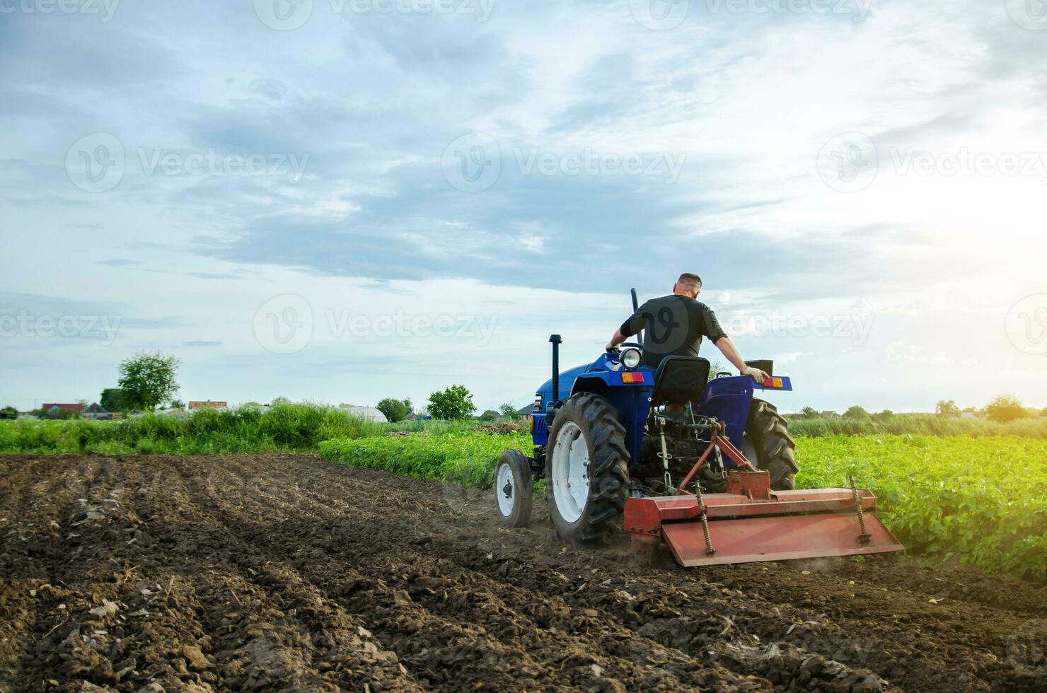 en jordbrukare på en traktor maler de jord innan plantering en ny beskära. arbete på de plantage, framställning de jord. landa odling. jordbruk, lantbruk. frigöra jordbruksmark från gammal gröda. foto