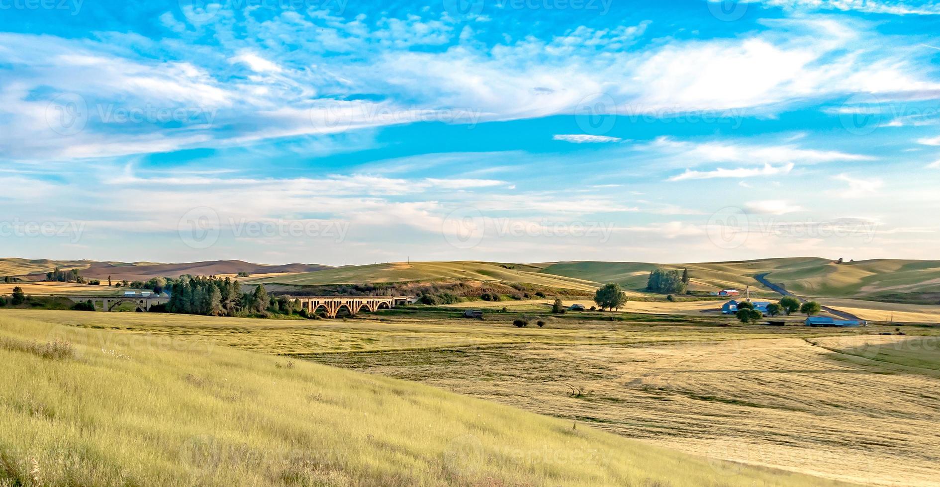 magiska vete gård fält i palouse washington foto