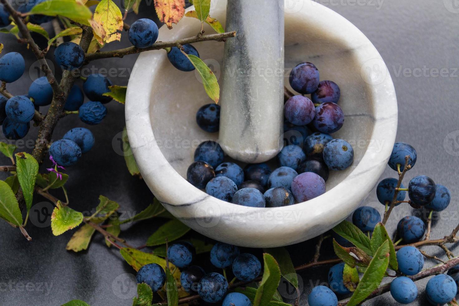 frukterna av svarttornbusken foto