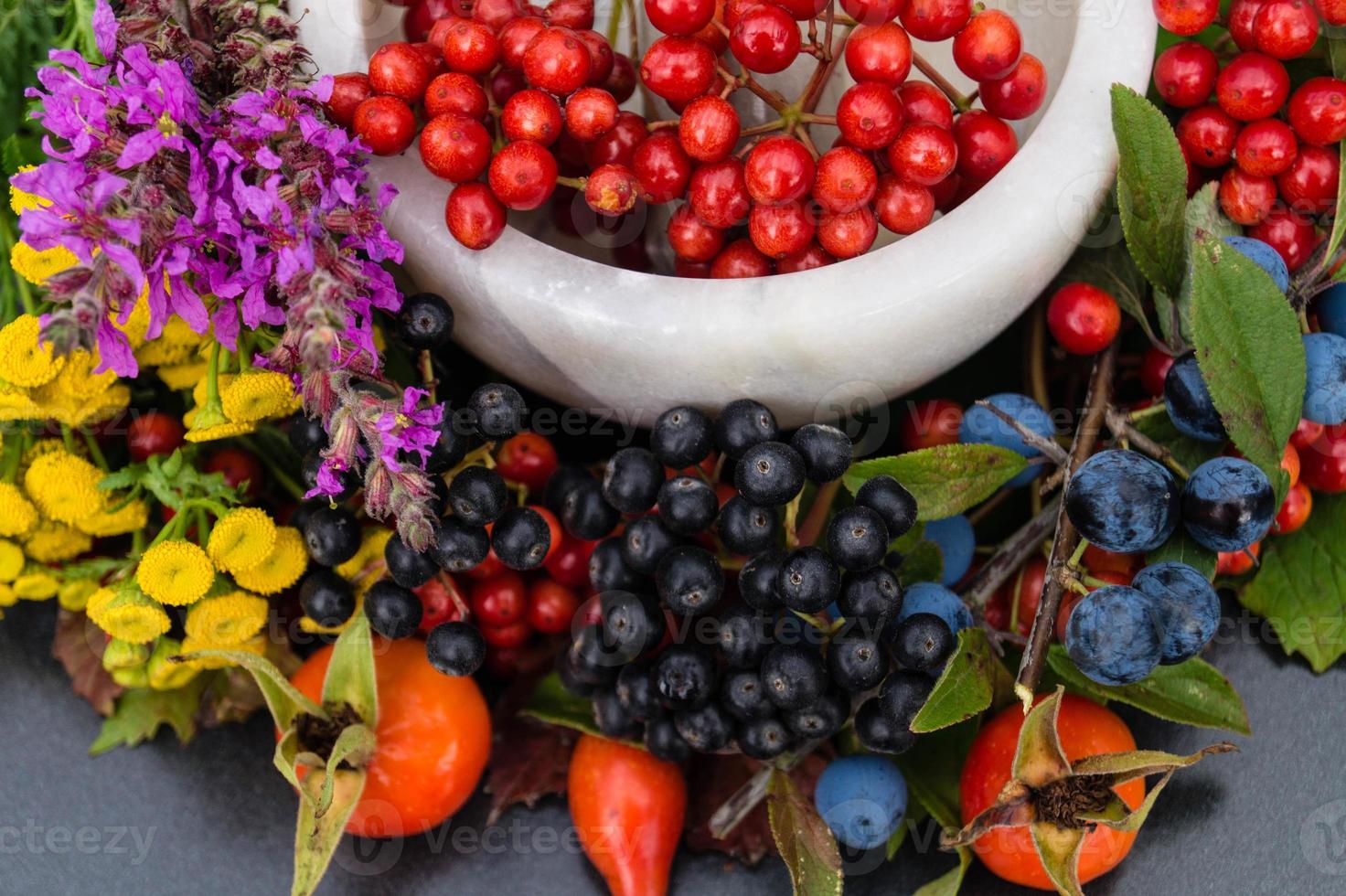 alternativ medicin med farmaceutiska örter frukt och bär foto