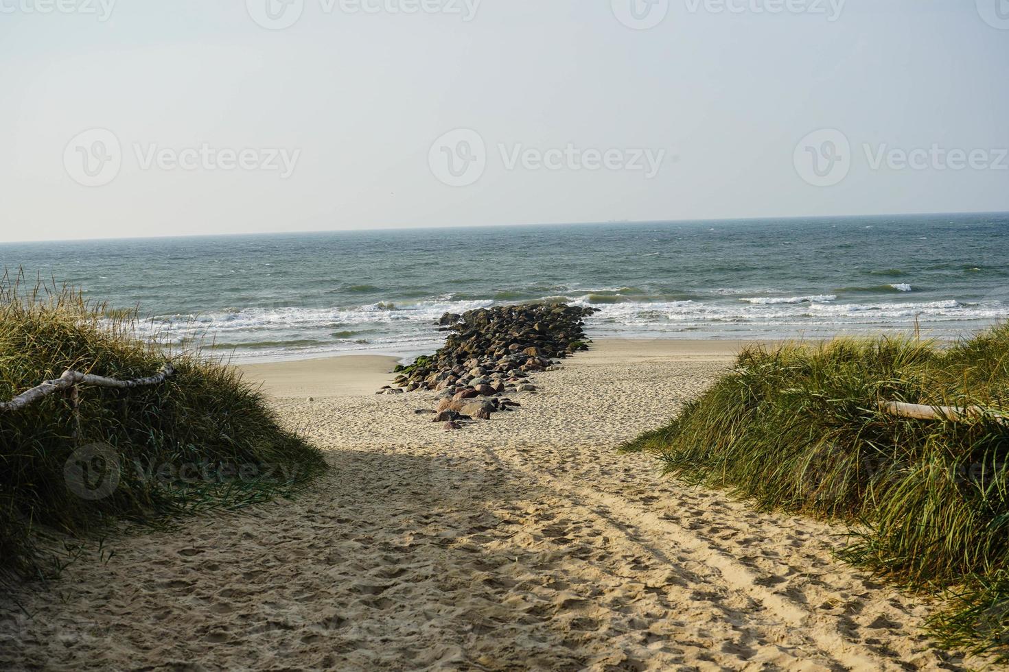 vid stranden av blavand ho danmark foto