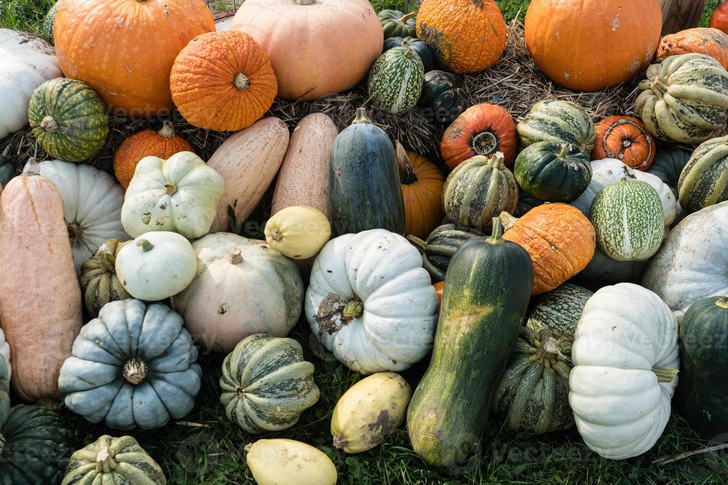 pumpor på en bondemarknad foto