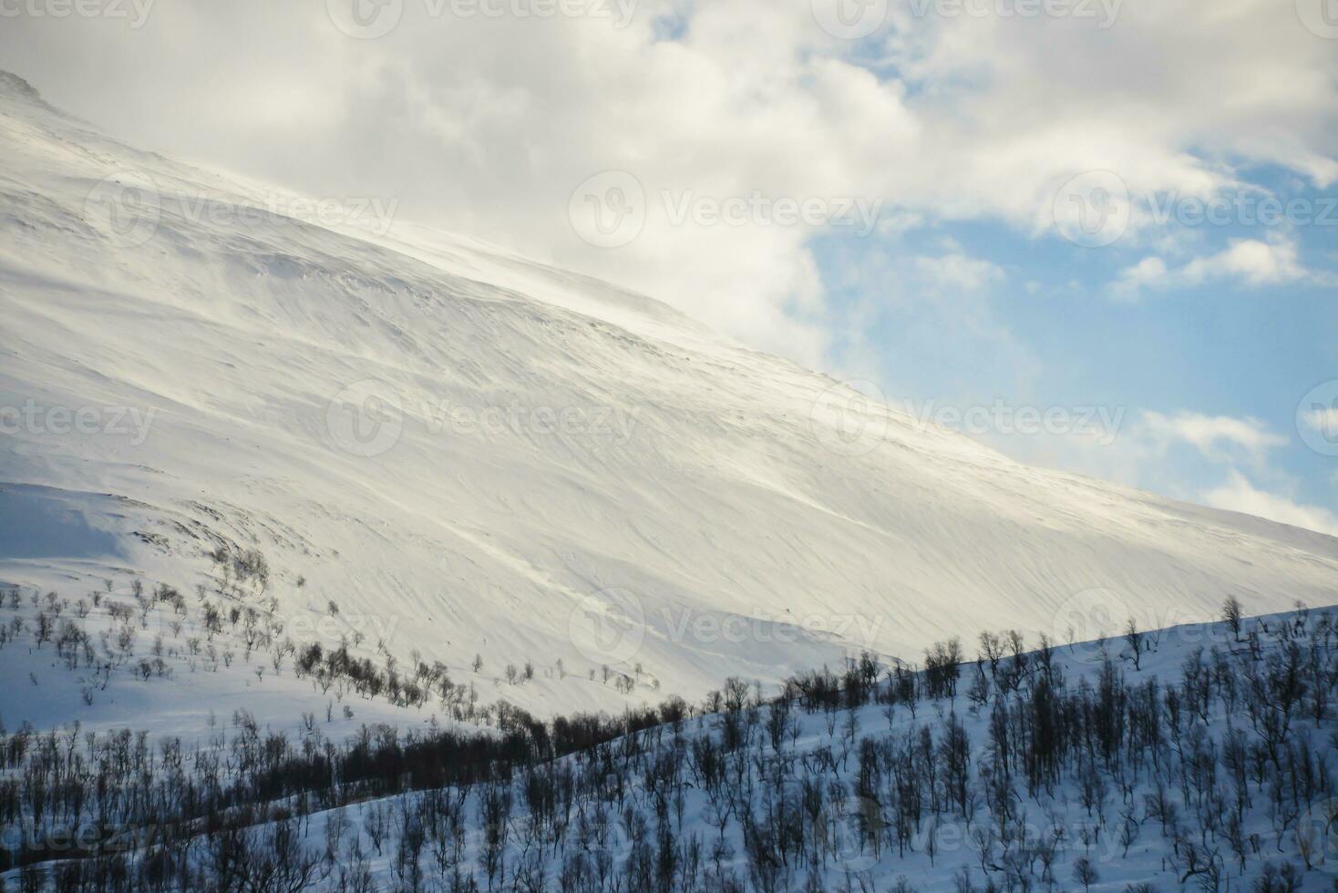 vinter- landskap bergen med snö foto