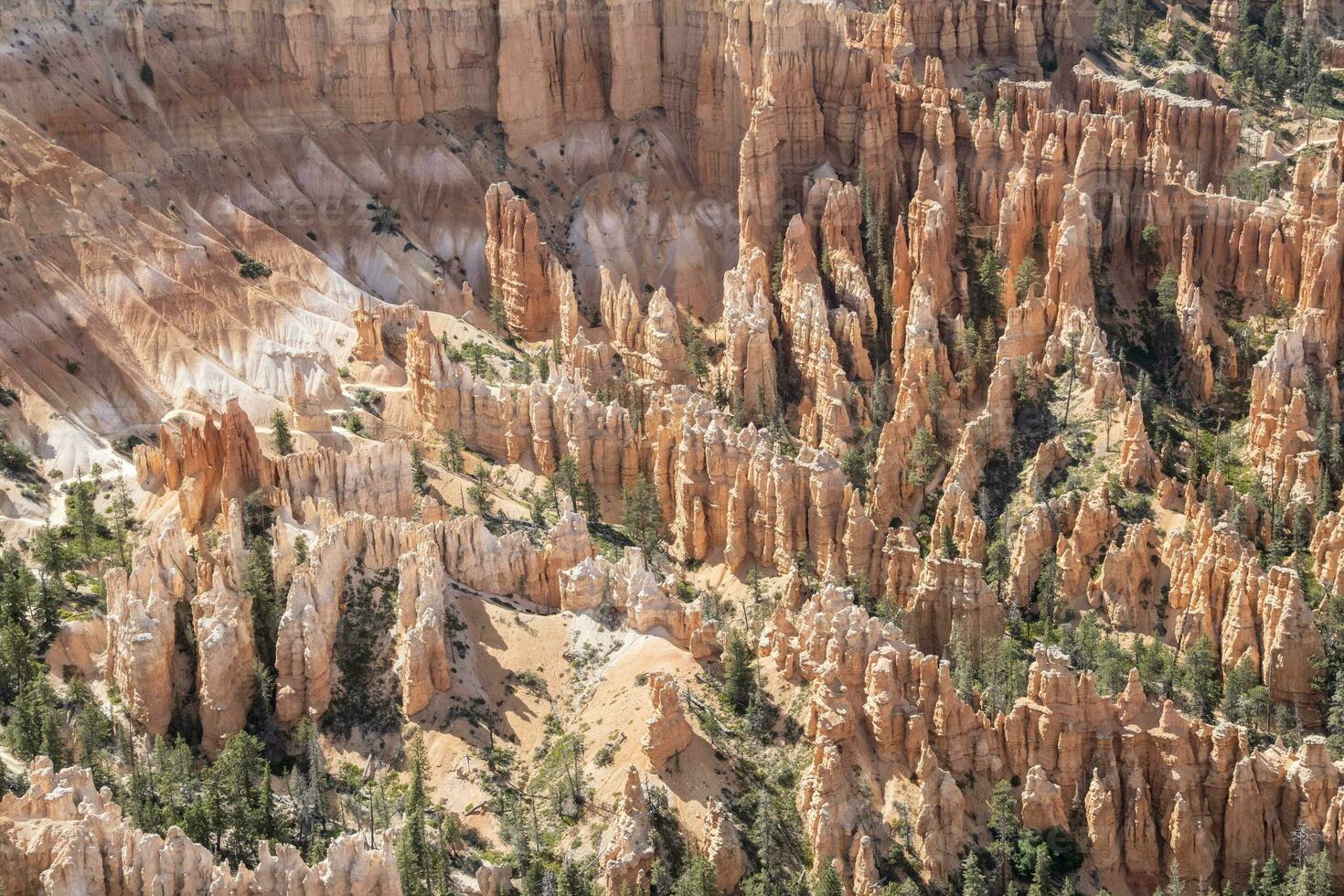 de skön bryce kanjon nationell parkera foto