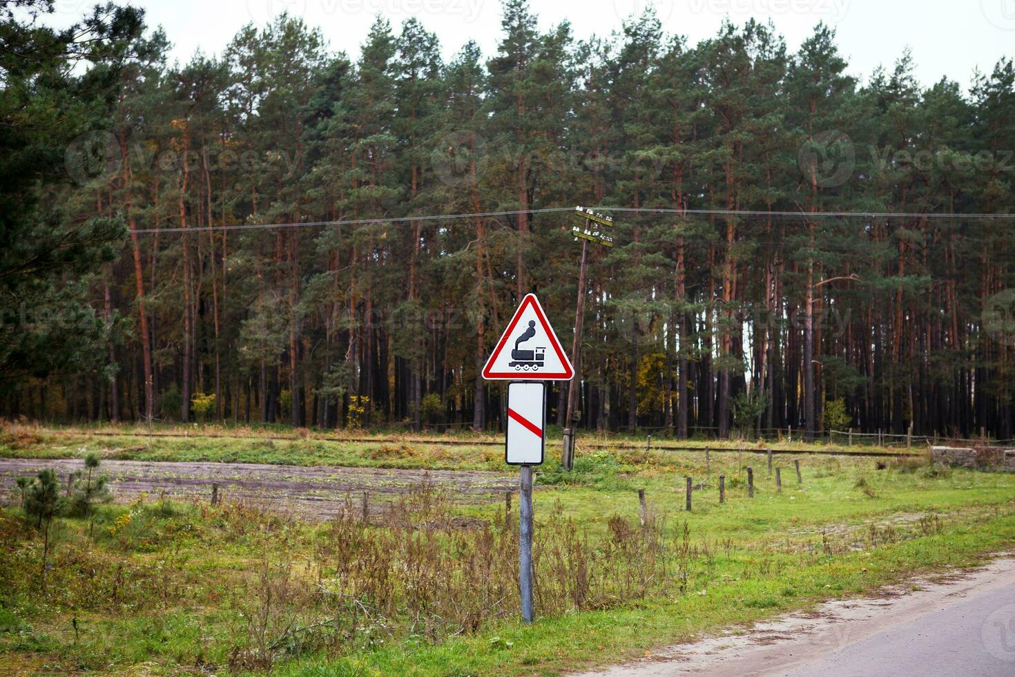 de väg den där passerar genom de tall skog och de järnväg i de höst foto