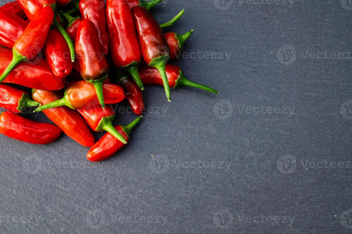 röd chili peppar kryddig grönsak foto