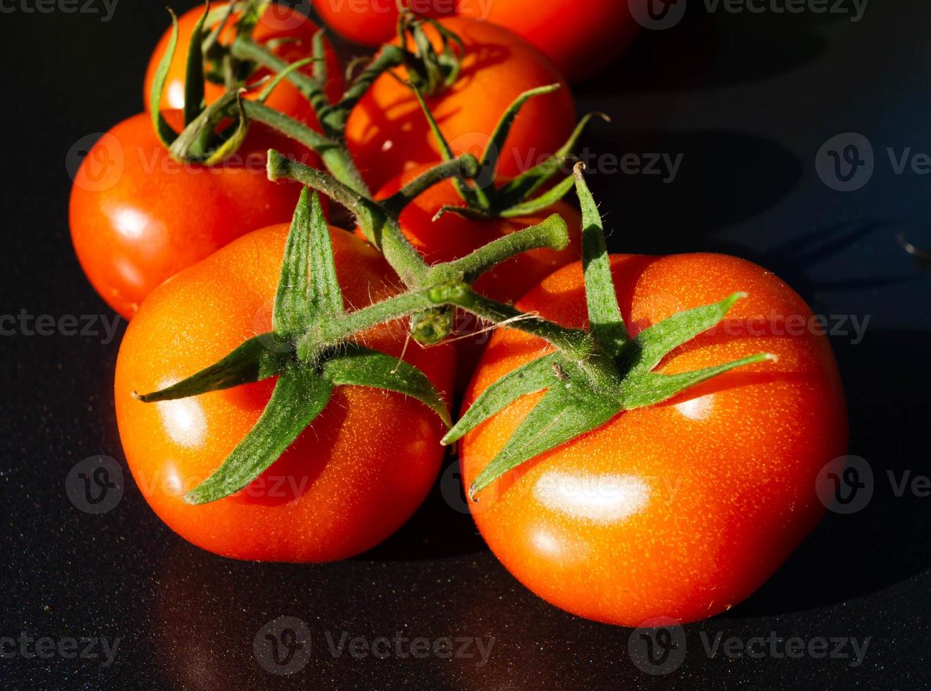 röda runda tomater solanum lycopersicum foto