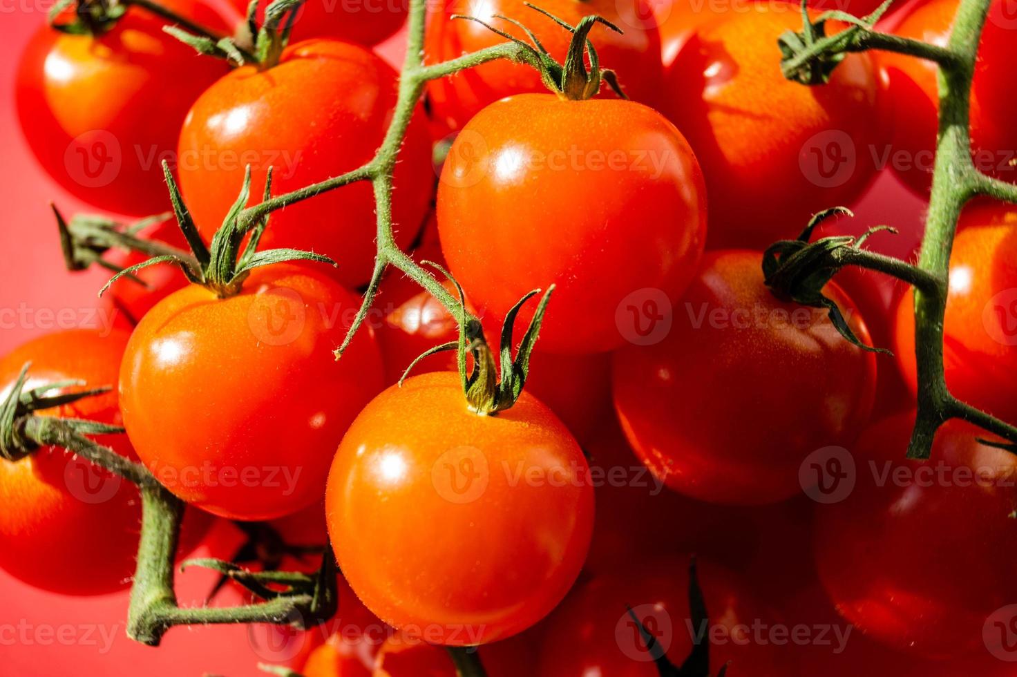 röda runda tomater solanum lycopersicum foto