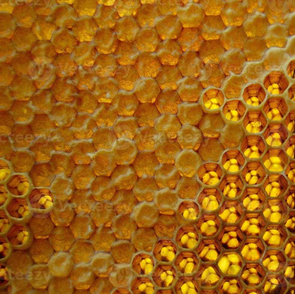 droppe av bi honung dropp från sexkantiga bikakor foto