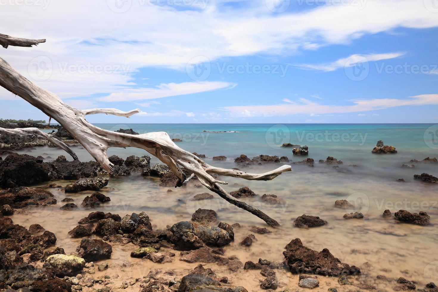 hawaii ö, strand 67 drivved och hav foto