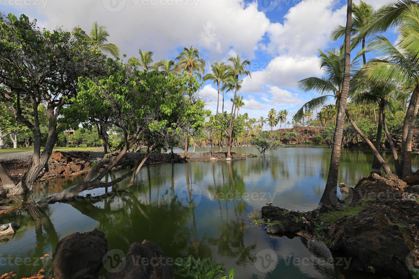 fiskdamm i kalahuipuaa historisk park på den stora ön hawaii foto