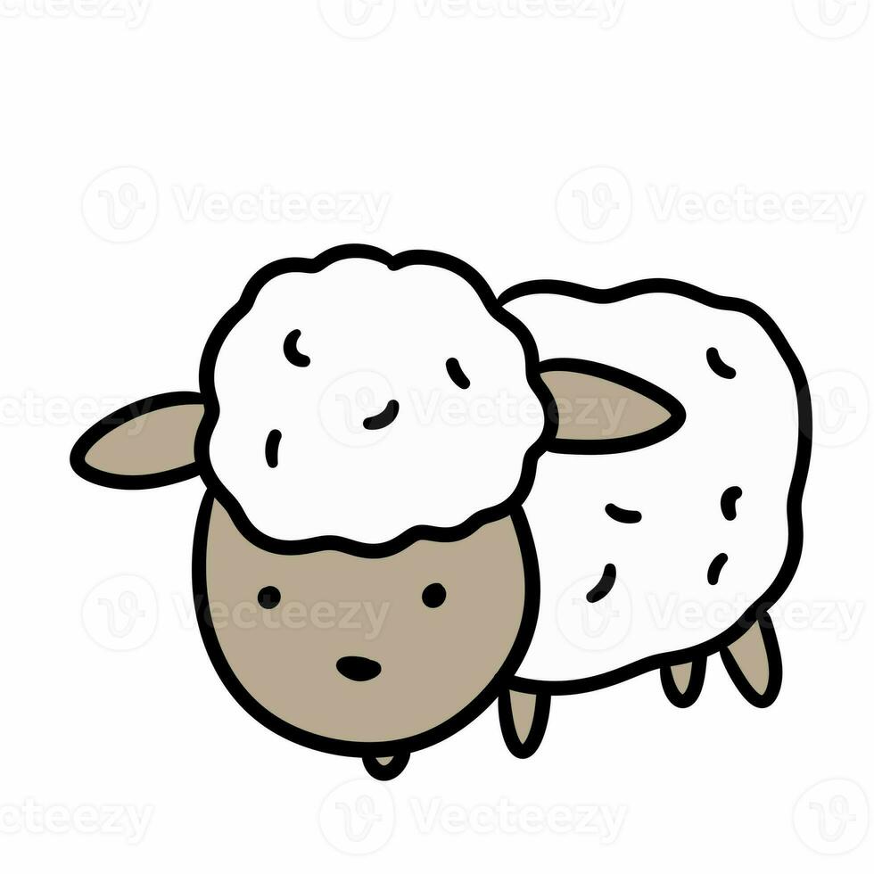 tecknad serie av en får på en vit bakgrund foto