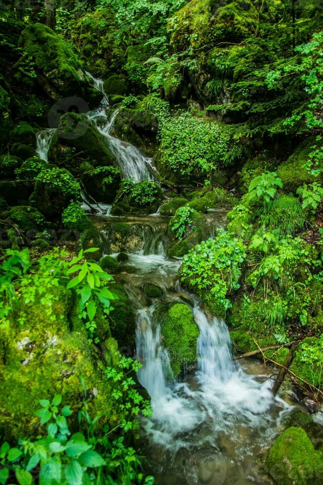 regional naturlig parkera av bauges foto