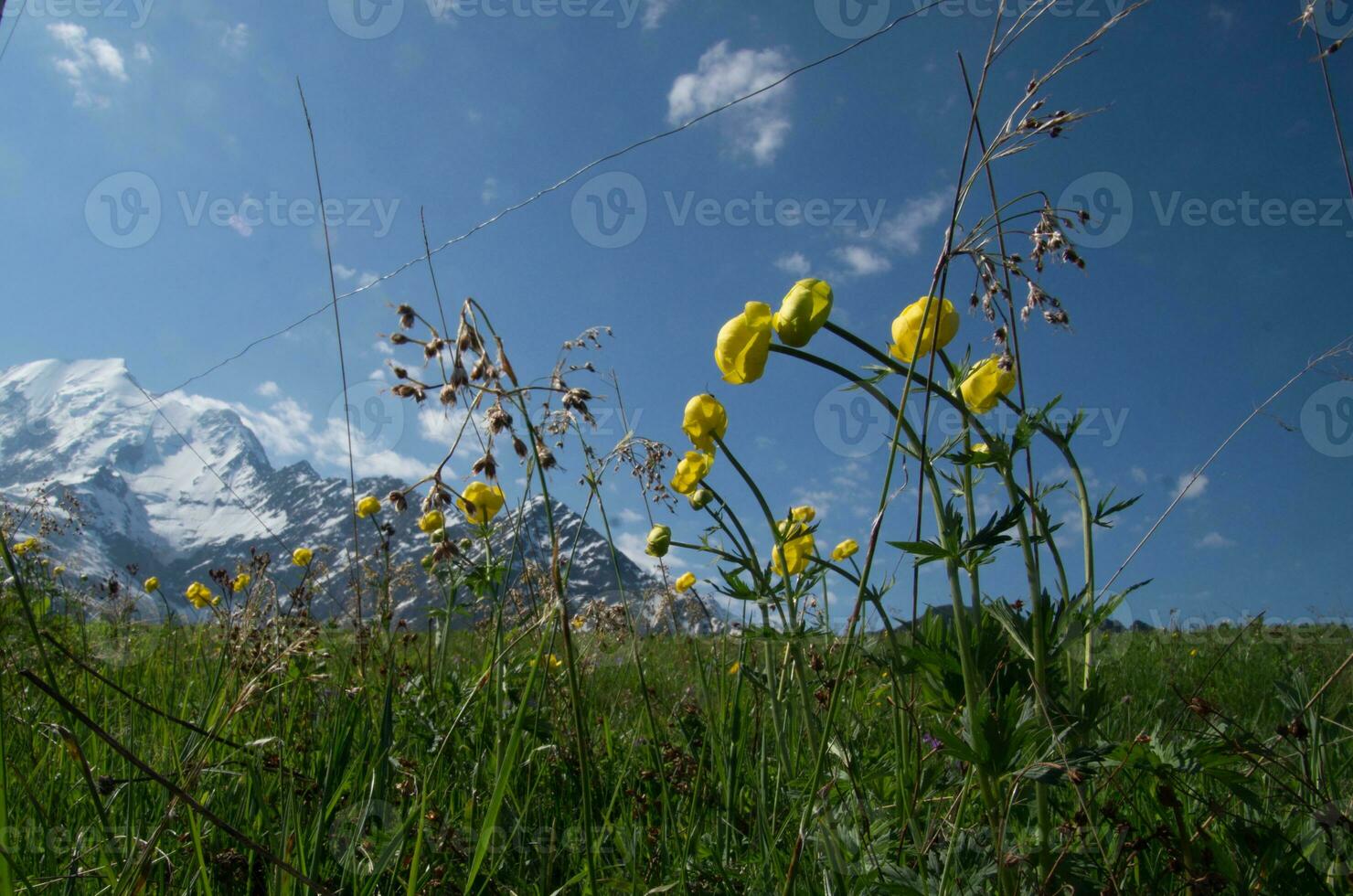 landskap av de franska alps foto