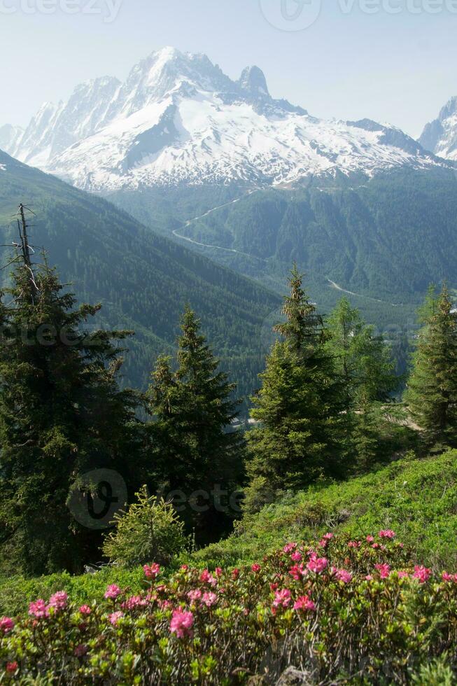 landskap av de franska alps foto