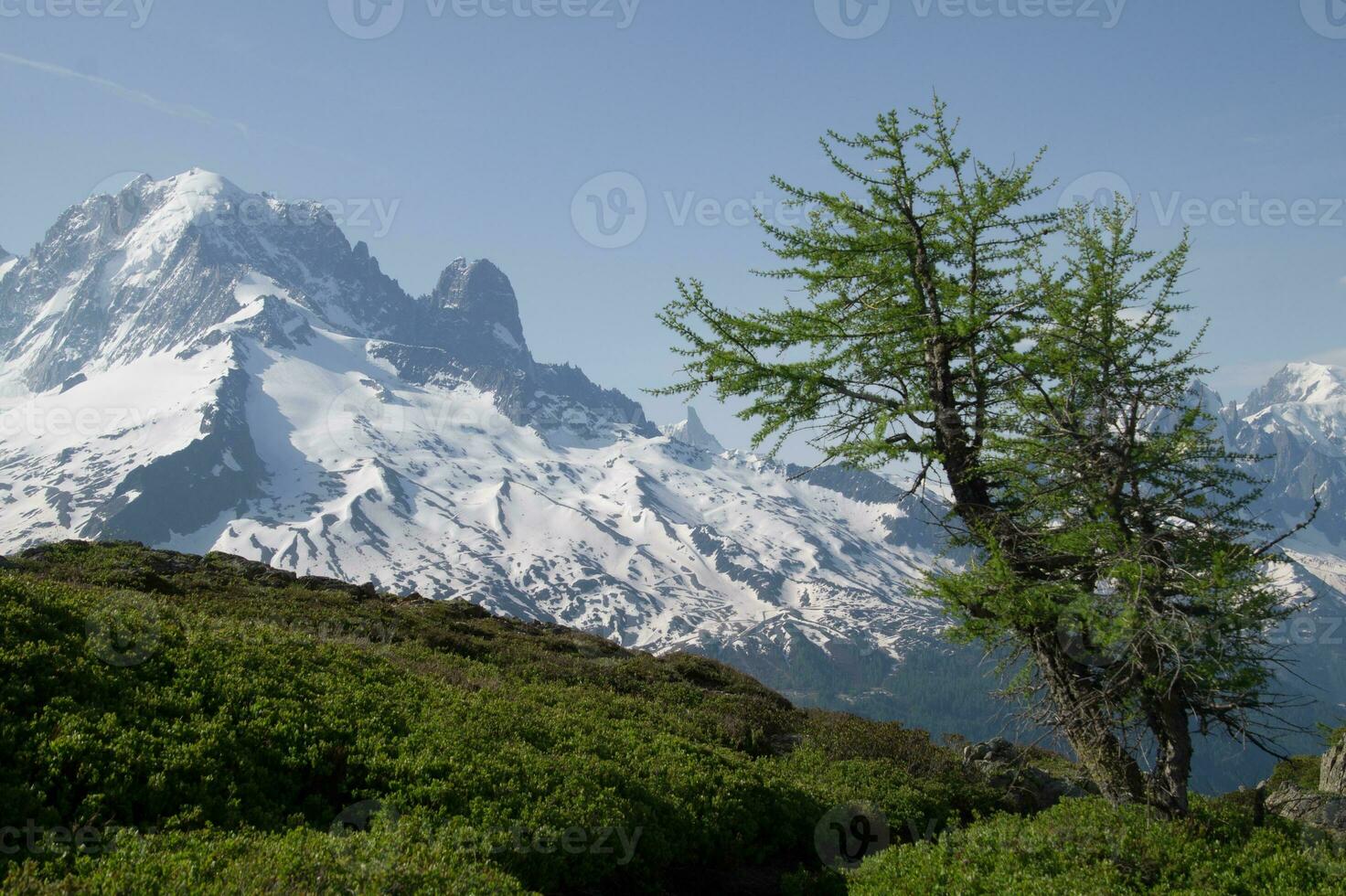 landskap av de franska alps foto