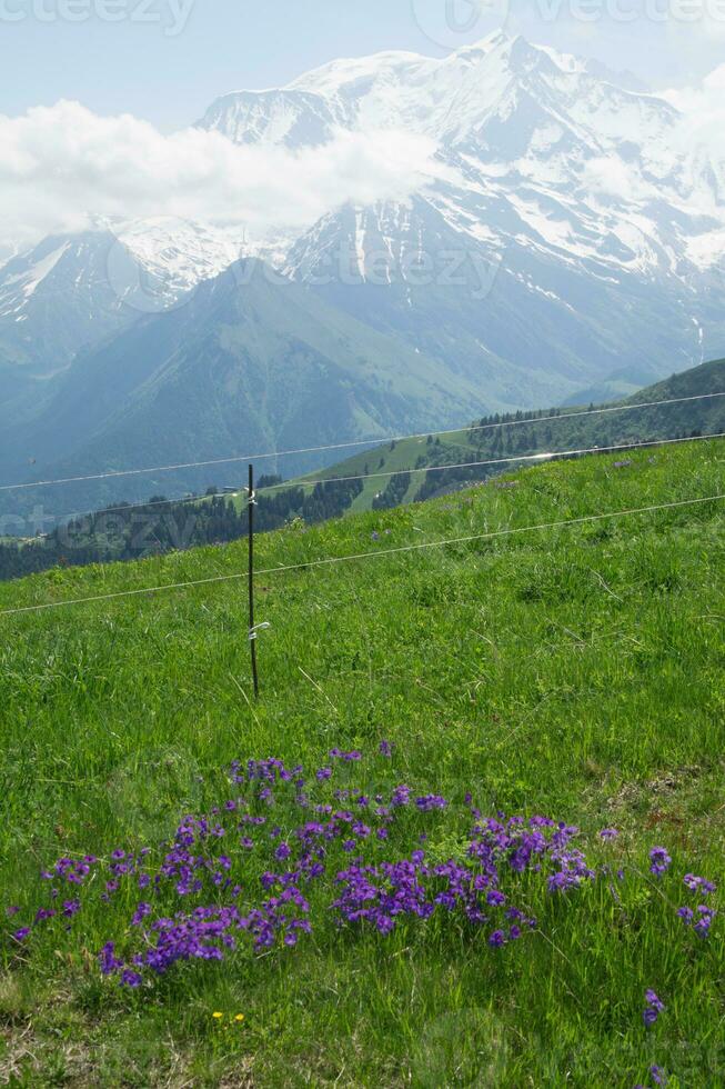 landskap av de franska alps foto