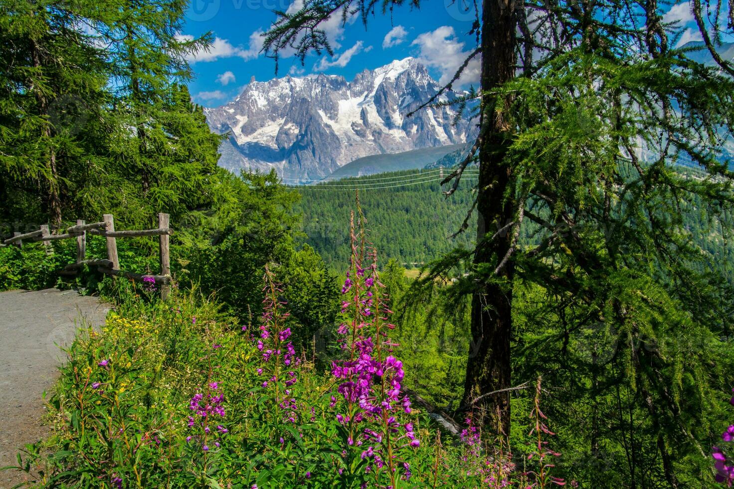 landskap av de alps i Italien i sommar foto