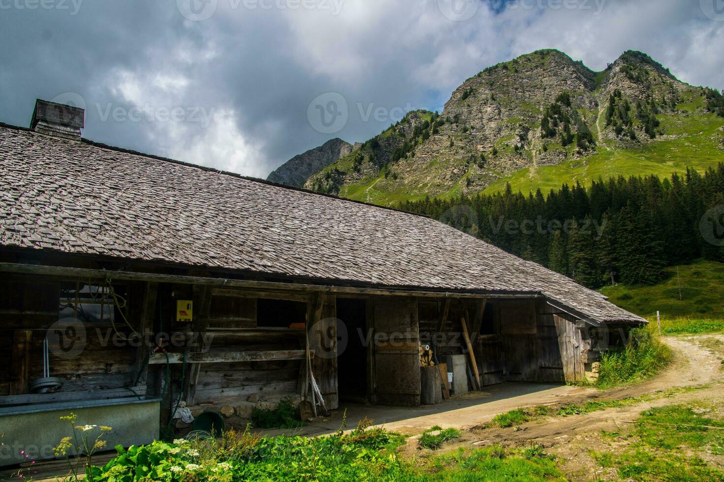 landskap av de alps i schweiz i sommar foto