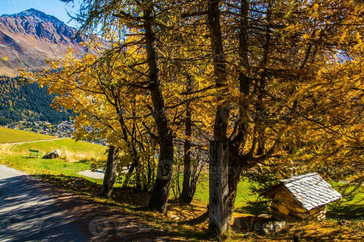 paysage des alpes suisse sv automne foto