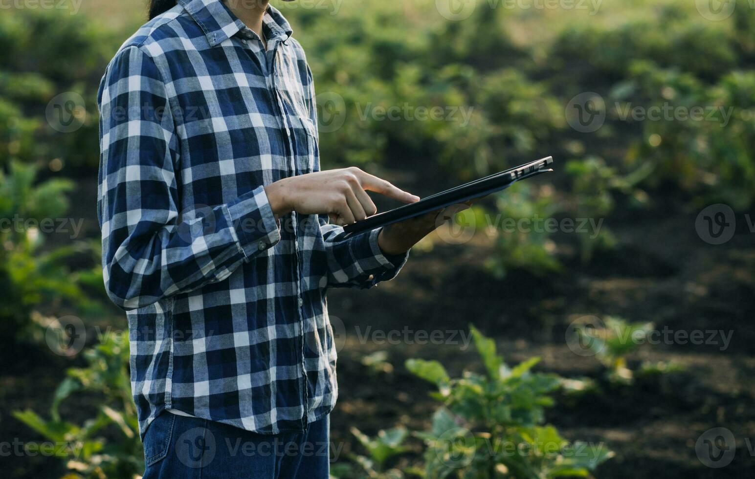 agriculturist utnyttja de kärna data nätverk i de internet från de mobil till bekräfta, testa, och Välj de ny beskära metod. ung jordbrukare och tobak jordbruk foto