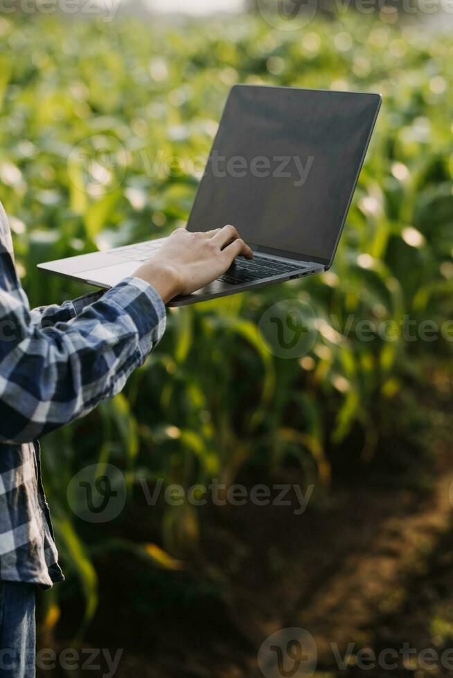 agriculturist utnyttja de kärna data nätverk i de internet från de mobil till bekräfta, testa, och Välj de ny beskära metod. ung jordbrukare och tobak jordbruk foto
