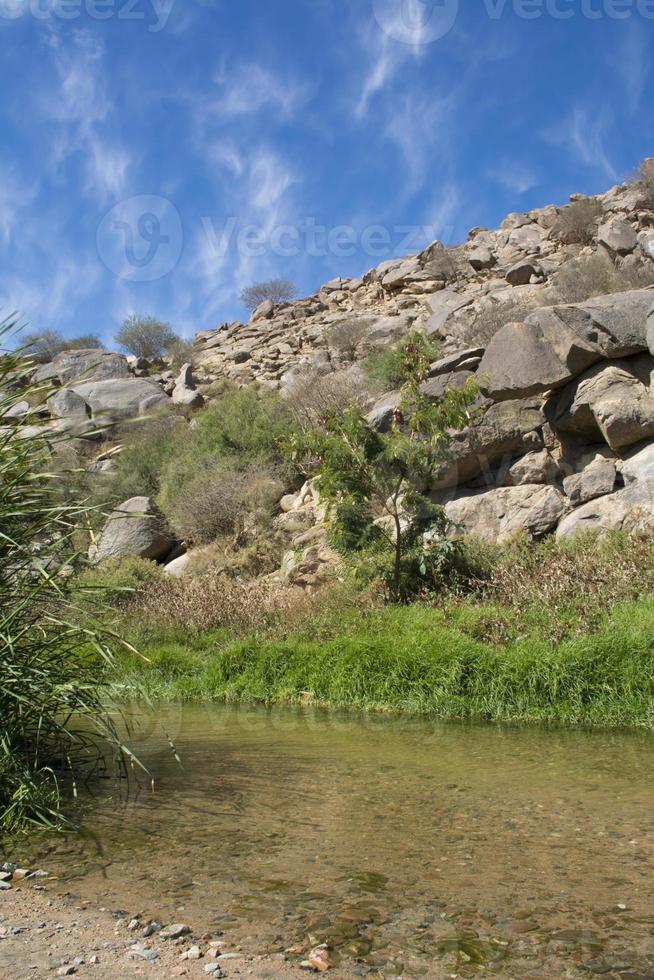 arabisk flod vid Taif, Saudiarabien foto