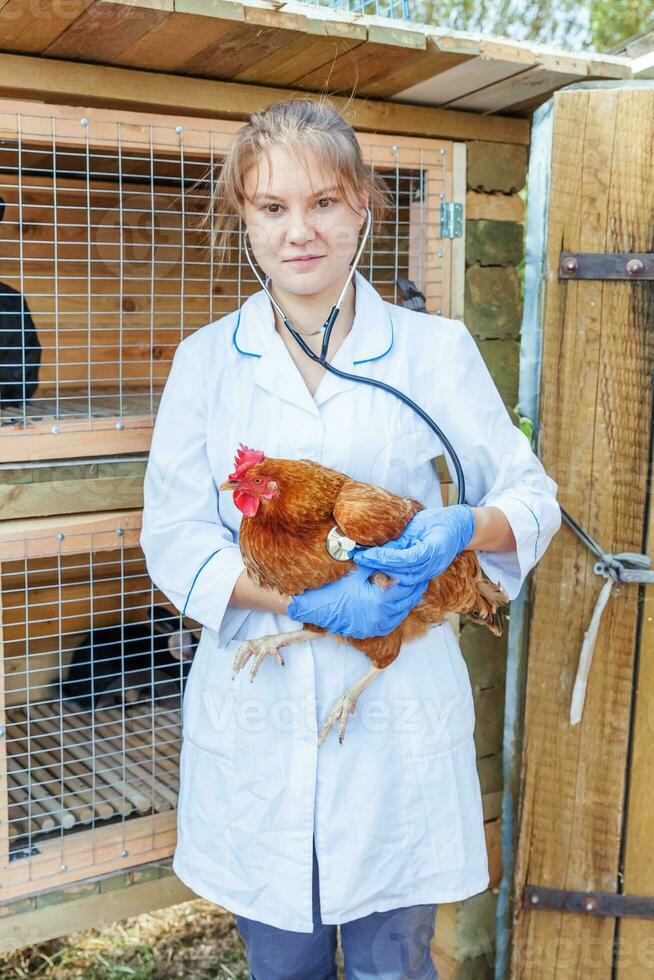 Lycklig ung veterinär kvinna med stetoskop innehav och granskning kyckling på ranch bakgrund. höna i veterinär händer för kolla upp upp i naturlig eco odla. djur- vård och ekologisk jordbruk begrepp. foto