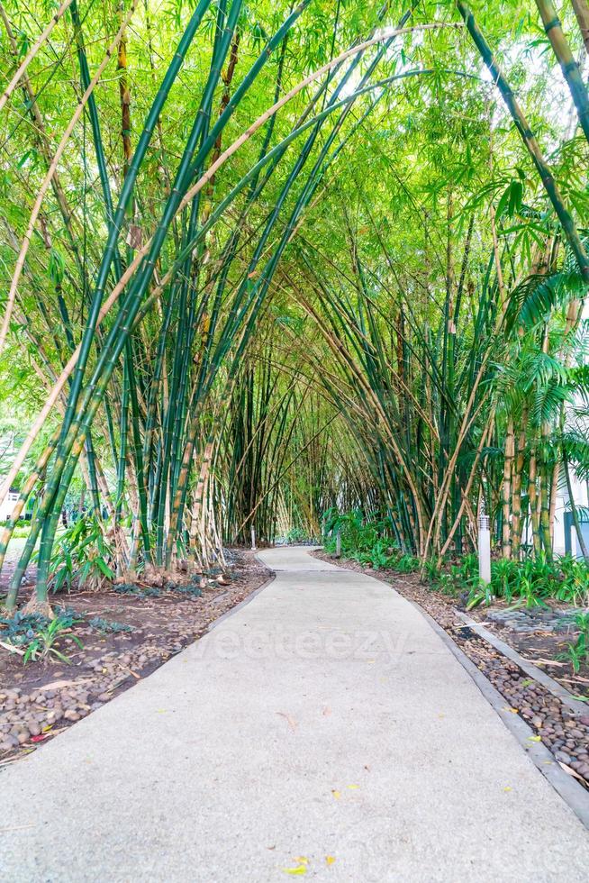 gångväg med bambu trädgård i park foto