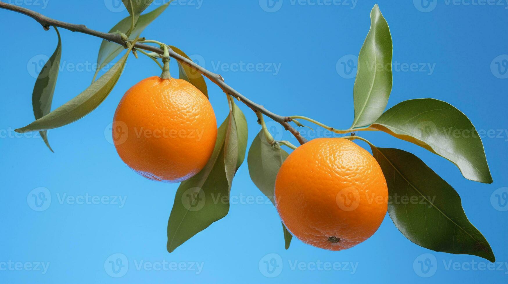 en ljus blå bakgrund, apelsiner med en gren på de vänster sida, bakgrund bild, generativ ai foto