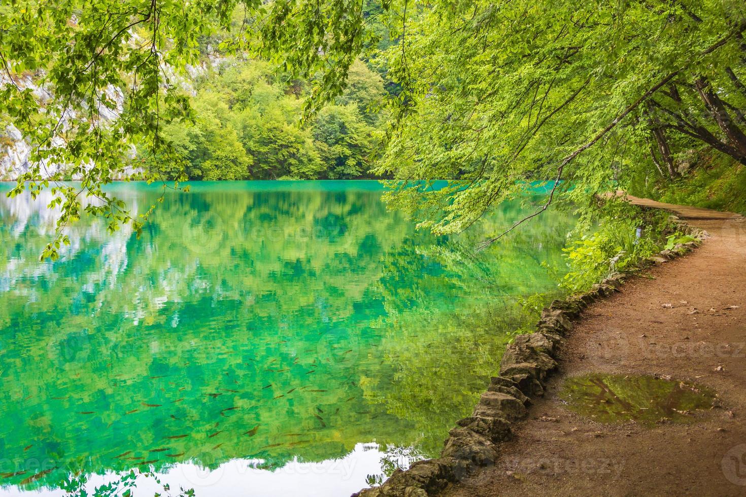 plitvice sjöar nationalpark landskap turkos vatten i kroatien. foto