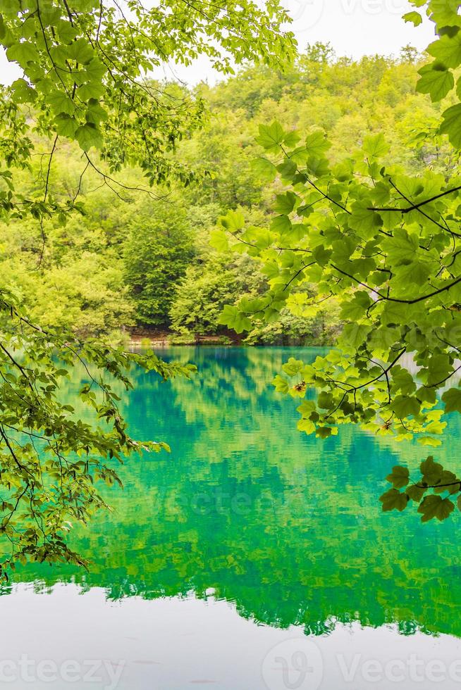 plitvice sjöar nationalpark landskap turkos vatten i kroatien. foto