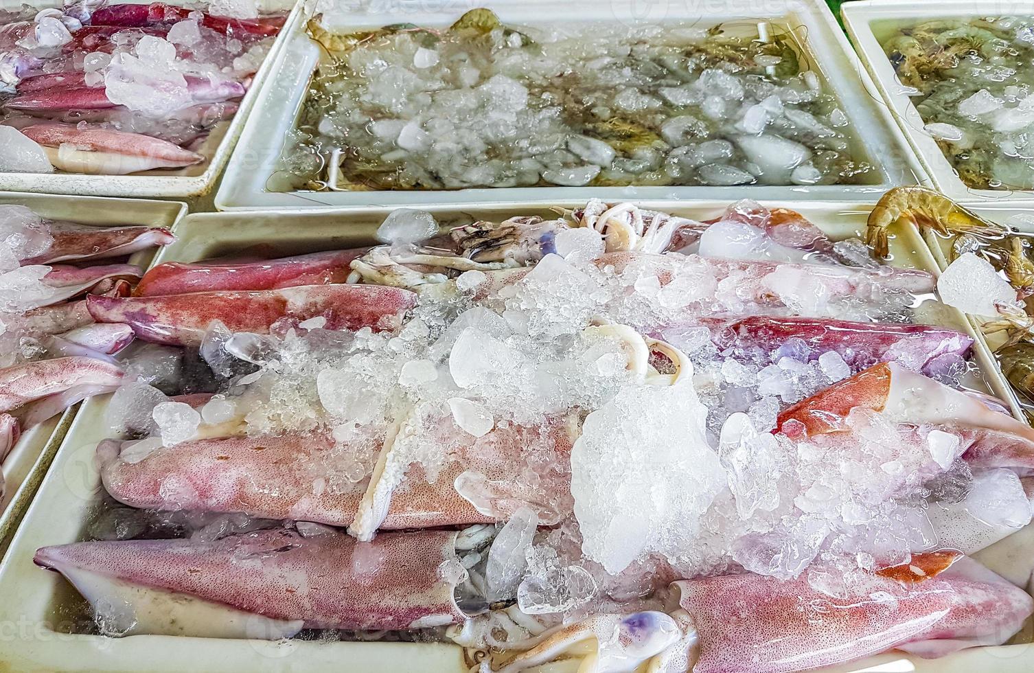 rå thailändsk skaldjur i Koh Samui, Thailand foto