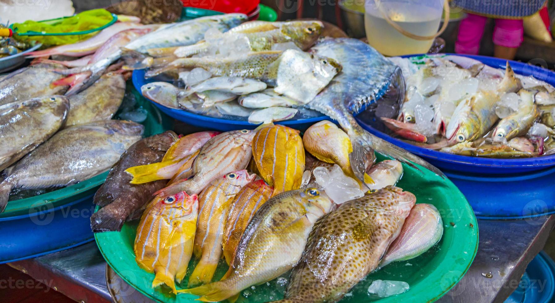 rå thailändsk skaldjur i Koh Samui, Thailand foto