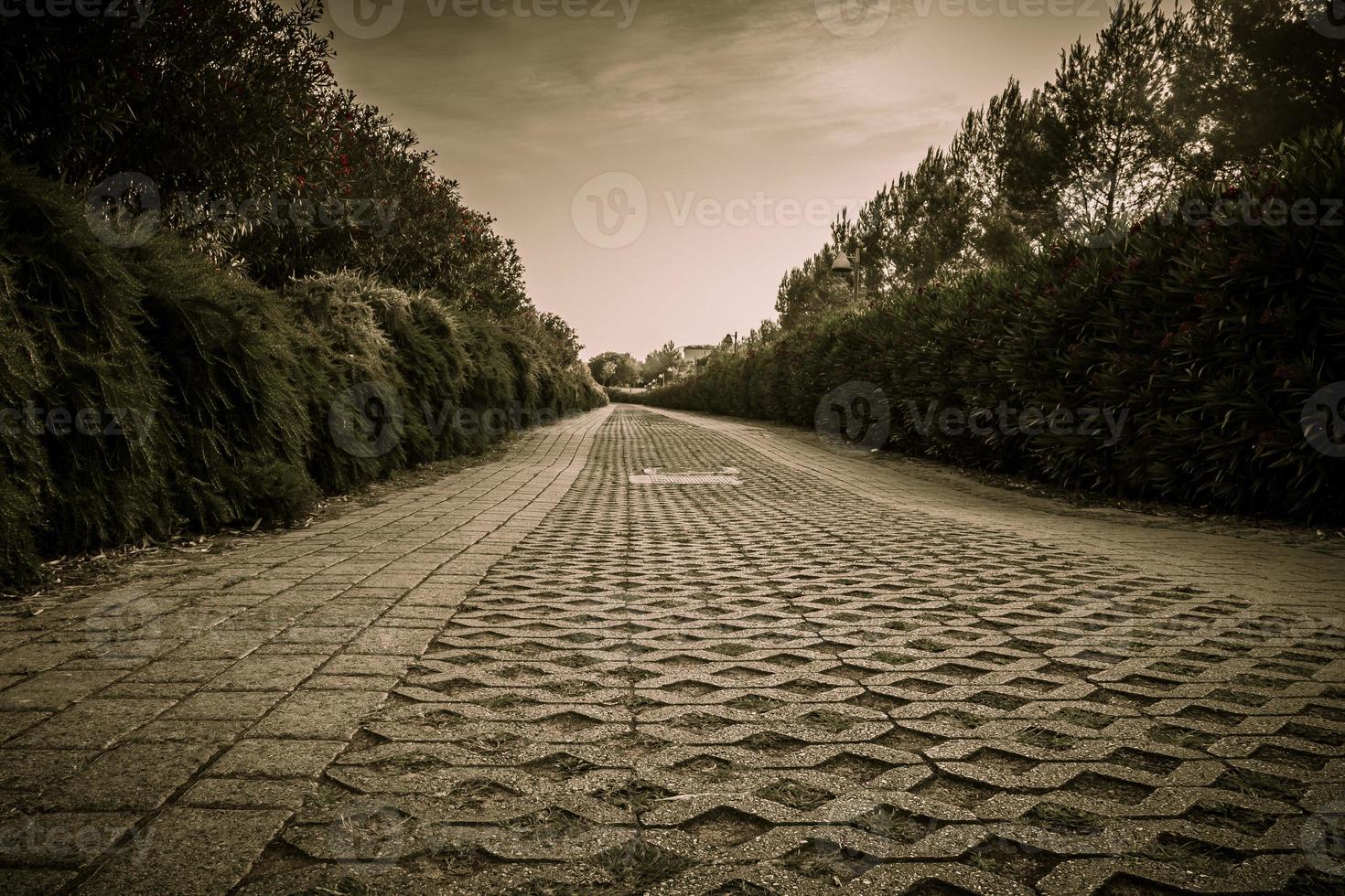 sepia-färgad gångväg i parken foto