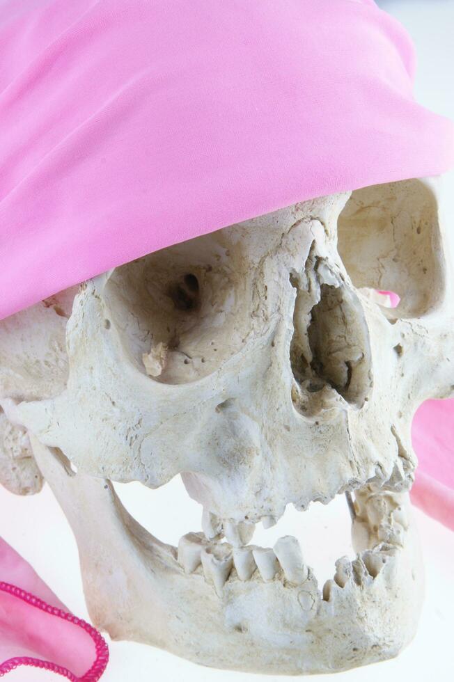 en skalle med en rosa bandana på den foto