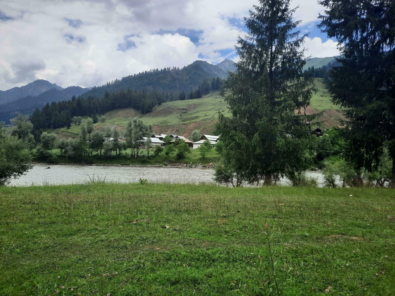 naturskön se av de naturlig skönhet av tao stånga, nål dal, kashmir. tao stånga är känd för dess frodig grön träd och naturlig skönhet. foto