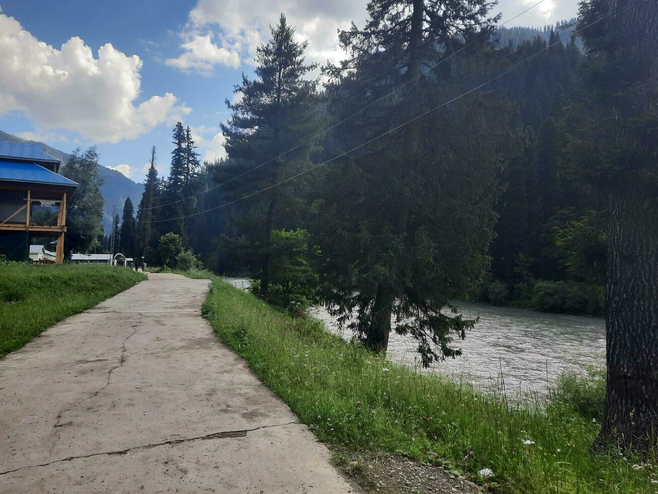 naturskön se av de naturlig skönhet av tao stånga, nål dal, kashmir. tao stånga är känd för dess frodig grön träd och naturlig skönhet. foto