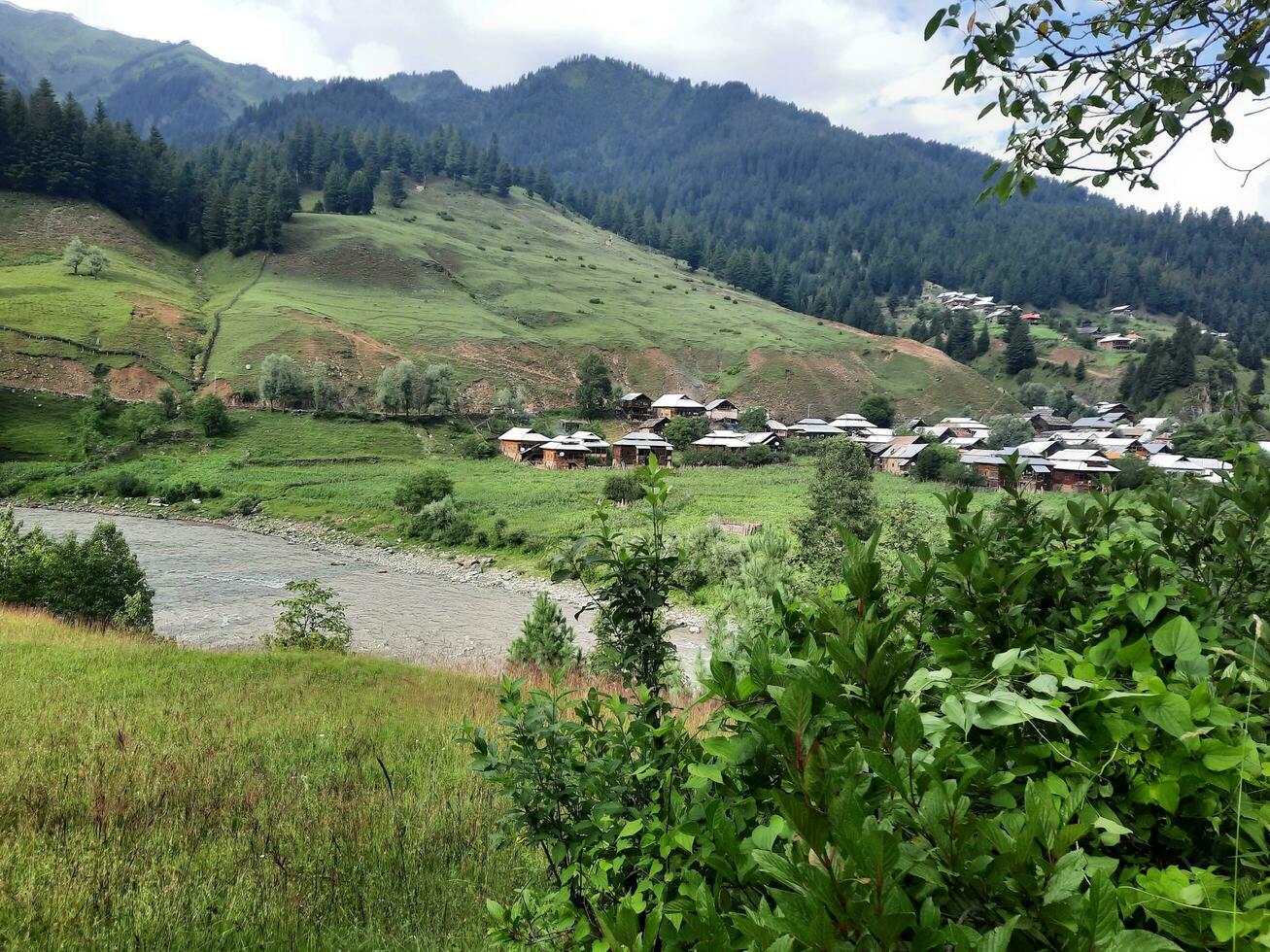 naturskön se av de naturlig skönhet av tao stånga, nål dal, kashmir. tao stånga är känd för dess frodig grön träd och naturlig skönhet. foto